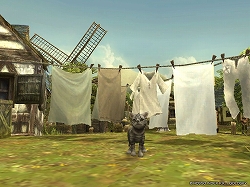 ꡼ No.001 | ֥륫ǥ׽λٱϡǭɥڥåȡ֥ͥݥפо