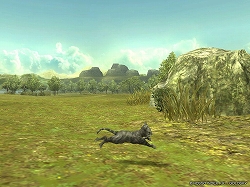 ꡼ No.002 | ֥륫ǥ׽λٱϡǭɥڥåȡ֥ͥݥפо