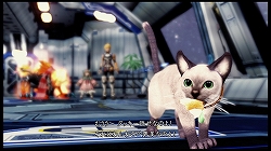 画像集#019のサムネイル/シリーズならではの魅力が凝縮された,6年ぶりのナンバリング最新作!「スターオーシャン4 -THE LAST HOPE-」のレビュー記事を掲載