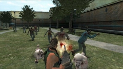 ֥ǥåɥ饤 ӤΤˤסWiiȼα2ब