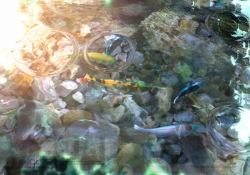 ꡼ No.012 | Wii⥳ͷ֡ȥåץɡ֥åĥåספΥץࡼӡ򥢥å