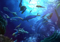 ꡼ No.013 | Wii⥳ͷ֡ȥåץɡ֥åĥåספΥץࡼӡ򥢥å