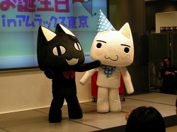 ꡼ No.008 | 56ϡȥȥɤΤ55ޤΥåǰᤤ񤬳