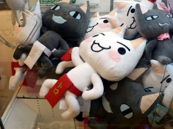 ꡼ No.020Υͥ / ֥ȥΤߤ 饯ȥ꡼Ƚĥ2Ƥ529˥ץ󡣽ˤϡȥƲⳫ