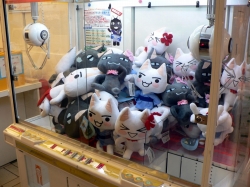 ꡼ No.021Υͥ / ֥ȥΤߤ 饯ȥ꡼Ƚĥ2Ƥ529˥ץ󡣽ˤϡȥƲⳫ