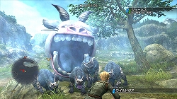 ������#002�Υ���ͥ���/���򵳻�ʪ��ס�5��28���˥������ȡ֥�󥹥����Ȥ��ؤ�ƻ���ۿ�