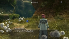 画像ギャラリー No.002のサムネイル画像 / 「白騎士物語」,追加クエスト「キショウアゲハを探して」を明日配信