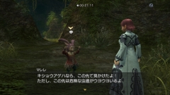 画像ギャラリー No.003のサムネイル画像 / 「白騎士物語」,追加クエスト「キショウアゲハを探して」を明日配信