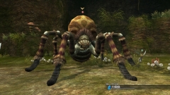 画像ギャラリー No.004のサムネイル画像 / 「白騎士物語」,追加クエスト「キショウアゲハを探して」を明日配信