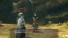 画像ギャラリー No.005のサムネイル画像 / 「白騎士物語」,追加クエスト「キショウアゲハを探して」を明日配信