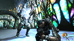 ꡼ No.006 | TPSQUANTUM THEORY׺ǿ󡣥Ϣȥ֥ӥ͡󥹥פȥܥ֥ꥪåȡפξ󤬸