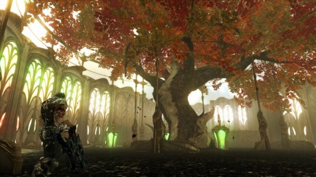 ꡼ No.006 | QUANTUM THEORYסνե졼ʤȤζϹ֥ӥ͡󥢥åפȡξ˰֤륹ơξ󤬸