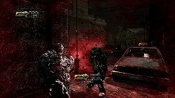 ꡼ No.008 | ƥ⤬Ĺ񻺥СTPSμϤ䤤ˡQUANTUM THEORYפΥץåǺ