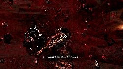 ꡼ No.015 | ƥ⤬Ĺ񻺥СTPSμϤ䤤ˡQUANTUM THEORYפΥץåǺ