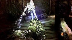 ꡼ No.020 | ƥ⤬Ĺ񻺥СTPSμϤ䤤ˡQUANTUM THEORYפΥץåǺ