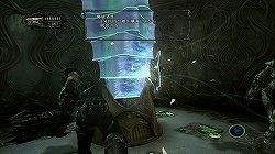 ꡼ No.023 | ƥ⤬Ĺ񻺥СTPSμϤ䤤ˡQUANTUM THEORYפΥץåǺ