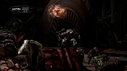 ꡼ No.025 | ƥ⤬Ĺ񻺥СTPSμϤ䤤ˡQUANTUM THEORYפΥץåǺ