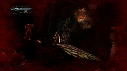 ꡼ No.026 | ƥ⤬Ĺ񻺥СTPSμϤ䤤ˡQUANTUM THEORYפΥץåǺ