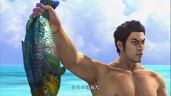 ꡼ No.064 | ʤ򤤡 ζǡ3פɤͥ줿ʤΤͻƤߤ