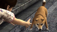 ꡼ No.075 | ʤ򤤡 ζǡ3פɤͥ줿ʤΤͻƤߤ