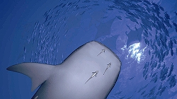 画像集#015のサムネイル/「体験!プレイステーション」,お台場メディアージュで開催