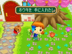 ꡼ No.028 | ʾ˲İơäԤڤʤPostPetDS ̴Ի׵ĤΥڥפǡäꤷ֤ᤴƤߤ