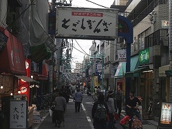 ������#024�Υ���ͥ���/��ͦ�ԤΤ����ˤʤޤ�����or2�ס��ͥ�������ȯ�䵭ǰ���٥�ȡ�TGS2008�ɤ�����