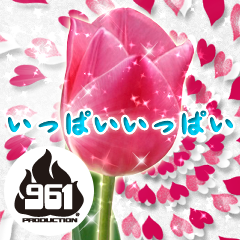 ꡼ No.024 | ֥ޥSPסĤƤʤɲðʤɤۿ륫4ƤPVդǤϤ֥ɥפʤɿǽɲä֥ɥץ饹