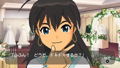 ꡼ No.029Υͥ / ӥ̵ۿ⡪֥ɥޥSPץ12ۿƤ