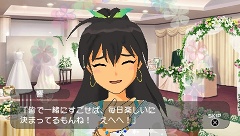 ꡼ No.034Υͥ / ӥ̵ۿ⡪֥ɥޥSPץ12ۿƤ