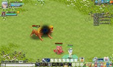 ꡼ No.017Υͥ / ֥ʥץо줹4ȤƮƥʤɥҲԤ