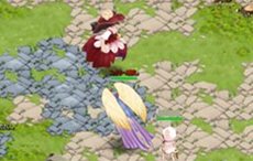 ꡼ No.004 | ֤ߤʤΦ ʥסޥåפ俷ƥबΥåץǡȤǼ