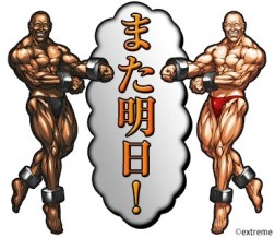 ꡼ No.007Υͥ / ߥ˥󥢥ץ֥ߥߡפ̾塼ƥ󥰡Ķפо