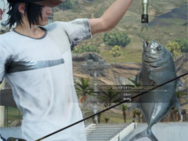 ヴァンナス海岸で75センチオーバーのアトールトレバリーを爆釣