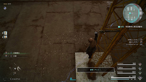 ꡼ No.020Υͥ / FINAL FANTASY XVפDLC֥饤ĥѥåͧץץ쥤ݡȡޥץ쥤˥󥸤줿ƥबȶƮɤ