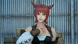 ꡼ No.003 | FINAL FANTASY XVפȯ2ǯǰ褬FFXIVץܥȤμ䡤˥ᥤŹޤǤθꥷå׳Ťʤ