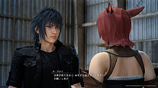 ꡼ No.008 | FINAL FANTASY XVפȯ2ǯǰ褬FFXIVץܥȤμ䡤˥ᥤŹޤǤθꥷå׳Ťʤ