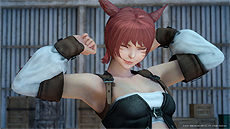 ꡼ No.006 | FFXVפǡFFXIVץܥȤۿȡ֥饤ĥѥåͧץɥǤۿ