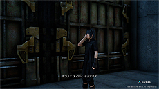 ꡼ No.008 | FFXVפǡFFXIVץܥȤۿȡ֥饤ĥѥåͧץɥǤۿ