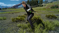 ꡼ No.017 | FFXVפǡFFXIVץܥȤۿȡ֥饤ĥѥåͧץɥǤۿ