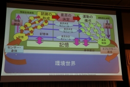 ꡼ No.048 | ˤ䥳ƥͼԤˤAIθ̤ˤĤƸäFOST25ǯǰֱץݡ