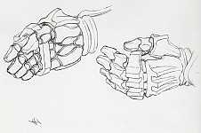 ꡼ No.016 | Ĥȯ䡪Ŵ6פONLINE MODE˴ؤͳǥEX塼