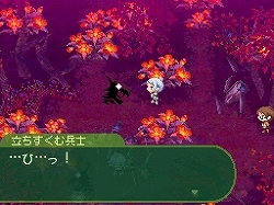 ������#001�Υ���ͥ���/�֥��֥󥹥ɥ饴��׸��������Ȥǡ�ε�ɡȰ�ü�γ����ץ���ޡɾ������