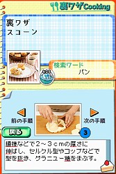 ���������꡼ No.007�Υ���ͥ������ / NDS�ְ���Ȥ�΢�略DS�ס����������Ȥǥե�å��奲�������