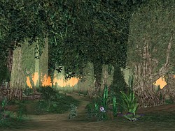 画像集#011のサムネイル/プレイヤースキルがものをいう対戦重視MMORPG「セフィロス」本日よりクローズドβテスター募集開始,4Gamer枠は1000名