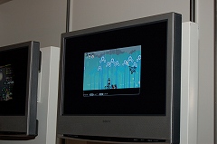 画像集#047のサムネイル/大阪ATCホールで11月15日/16日に開催されたユーザー試遊会「Games Japan Festa 2008」レポート