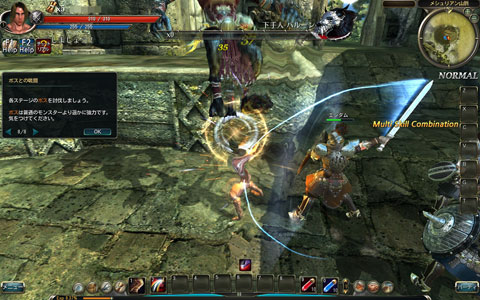 ꡼ No.010Υͥ / ʤȿ奪饤RPGɡC9פ̥Ϥ򱿱/ȯåդʹƤߤ