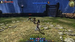 ꡼ No.007 | ΡC9̿פϡå֥쥤ɤ2ȥǥɤǤPvPϤ褦ǧʥӥŤΥȡʥˤ