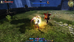 ꡼ No.008 | ΡC9̿פϡå֥쥤ɤ2ȥǥɤǤPvPϤ褦ǧʥӥŤΥȡʥˤ