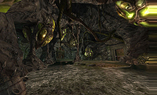 ꡼ No.004Υͥ / C9סǿåץǡȡUPDATE 4Φפ٥륭åפ57ޤǳ4Φ֥ԥפؿǽ